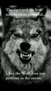 We learnt the one mind from the wolf. With the one mind, we can never be defeated. 