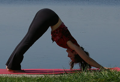 NaNoWriMo Sun Salutation - Asana 12