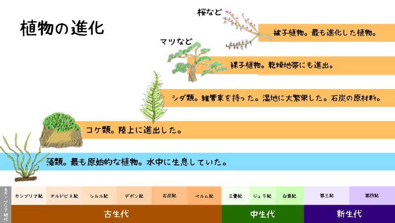 100 人間 進化 過程 イラスト 無料の印刷可能なイラスト素材