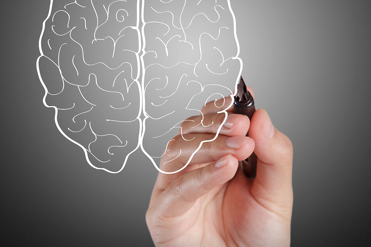 How to Rewire Your Brain For Peak Performance and ...