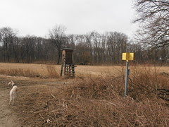 P1010748