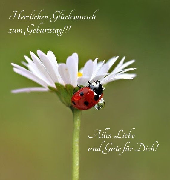 Geburtstagswünsche Sonne lustige geburtstagsglückwünsche