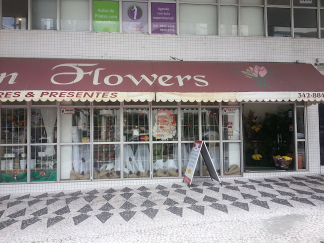 Maison Flowers - Flores e Decoração