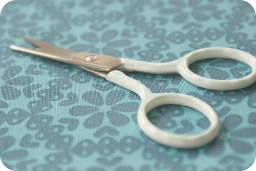 my dotty scissors.