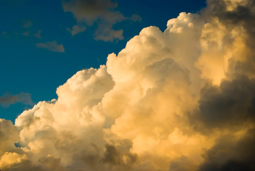 August Cumulus Congestus Clouds