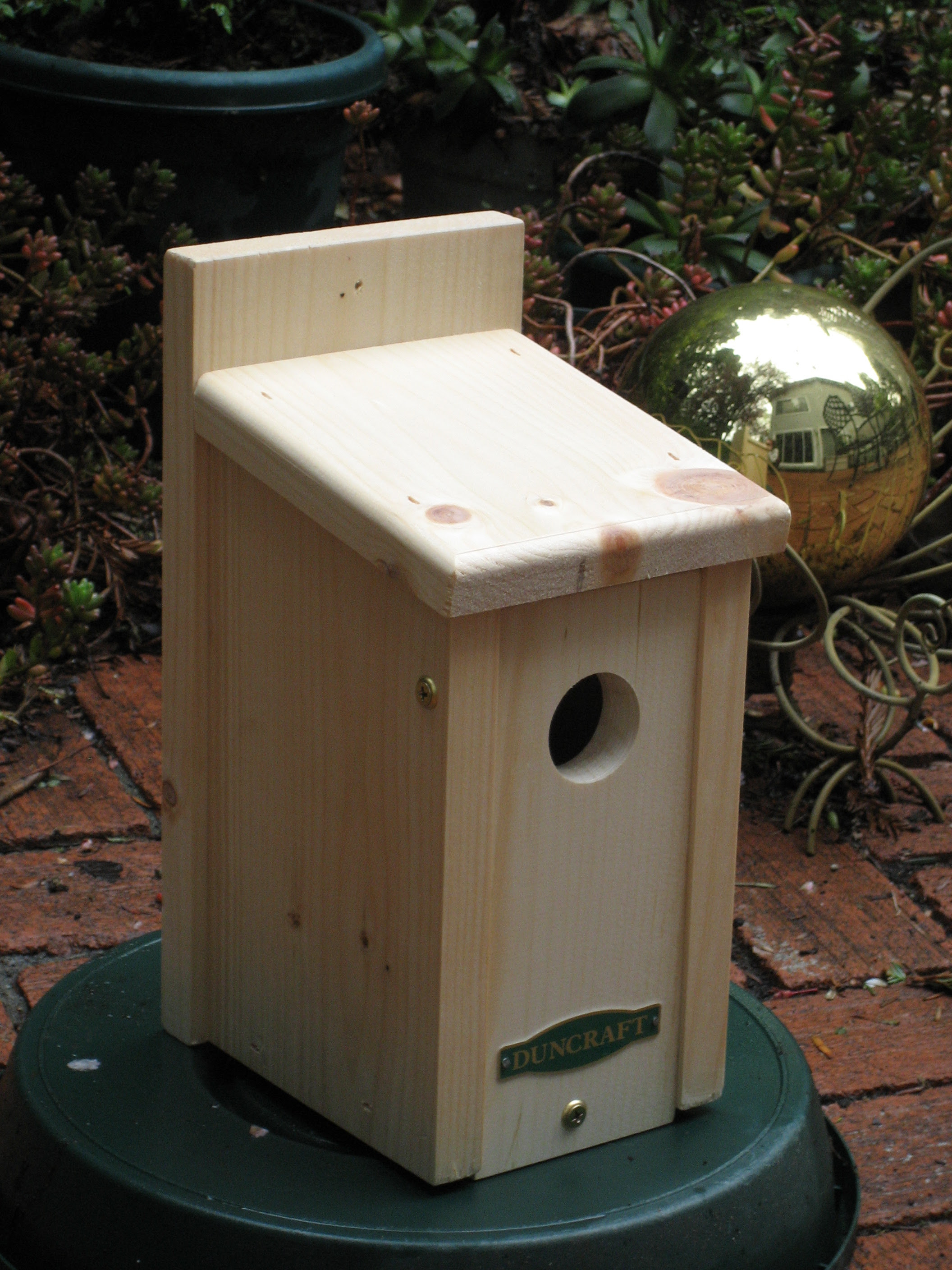 wood-project-design-cool-titmouse-bird-house-plans