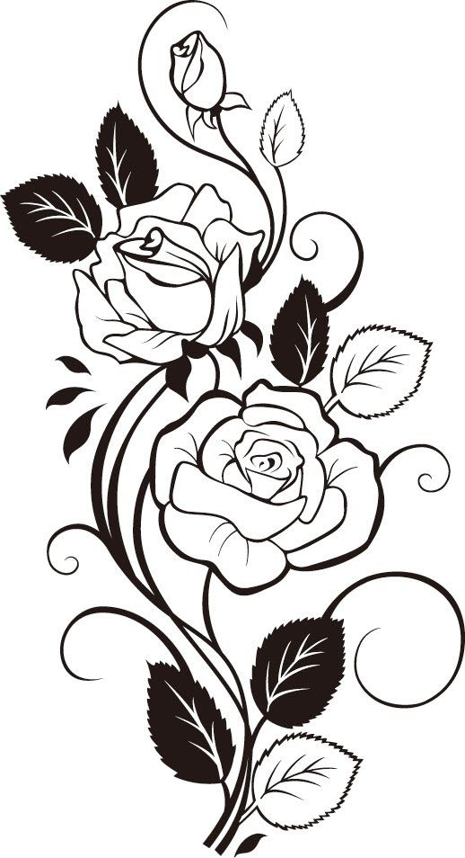 Featured image of post Recipe of Outline Easy Rose Vine Drawing