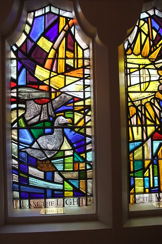 dodo stained glass