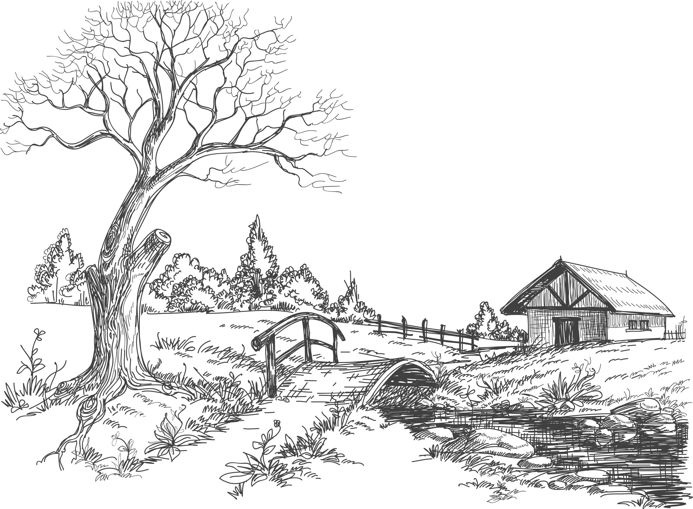 Coloriage204 coloriage paysage à imprimer