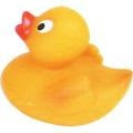 Small Rubber Duck Small Rubber Duck