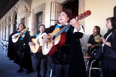 Musicians in Morelia