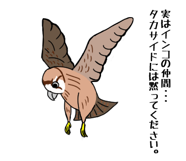 ぜいたくはやぶさ 鳥 イラスト ただのディズニー画像