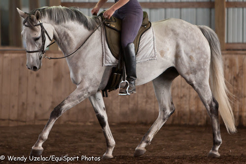 ollie_5.25.2010_esp_wu-3175