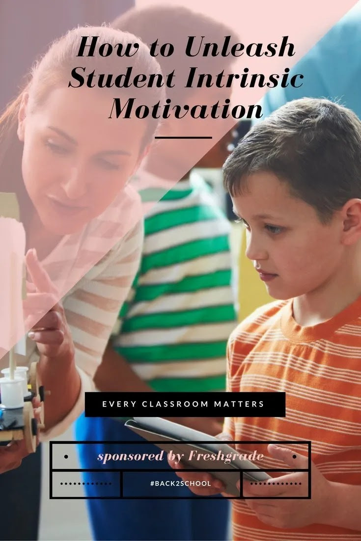 student intrinsic motivation
