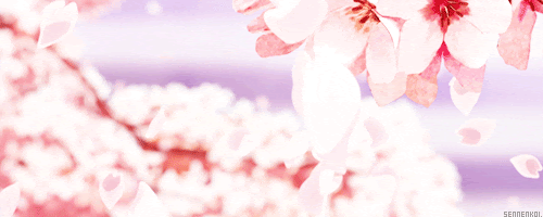 Featured image of post Cherry Blossom Petals Falling Flowers Gif Transparent Background
