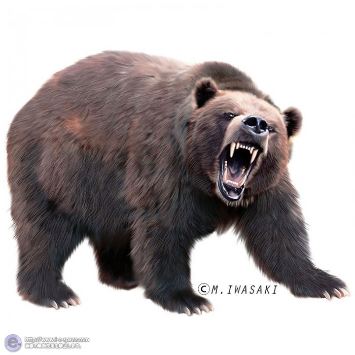 50 素晴らしいリアル 熊 イラスト 怖い ただのディズニー画像
