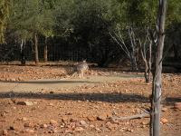 Free Image Hosting at www.ImageShack.us