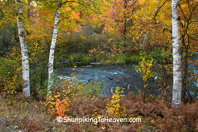 Autumn Evening on the Manitowish River, Vilas County, Wisconsin