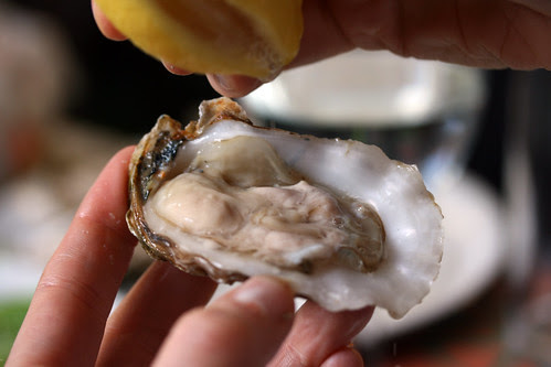 Oysters
