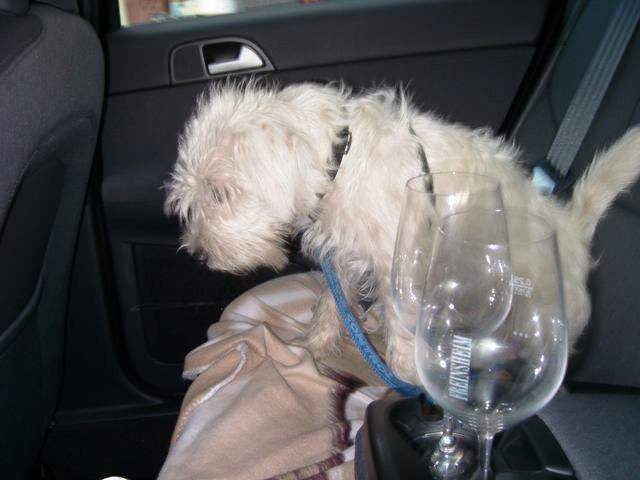 Lea on the way home with a big hangover :) (&copy 2008 by Jolle)
