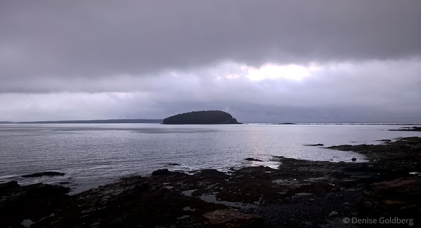 late day light, along the Shore Path in Bar Harbor, Maine