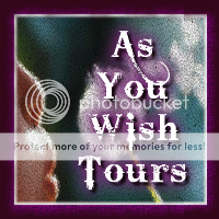 As You Wish Tours