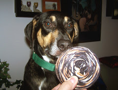 Tut_Yarn