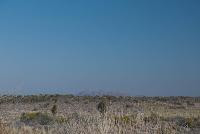 Free Image Hosting at www.ImageShack.us