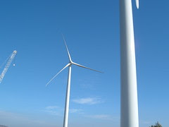 2004_1220Imagen0005