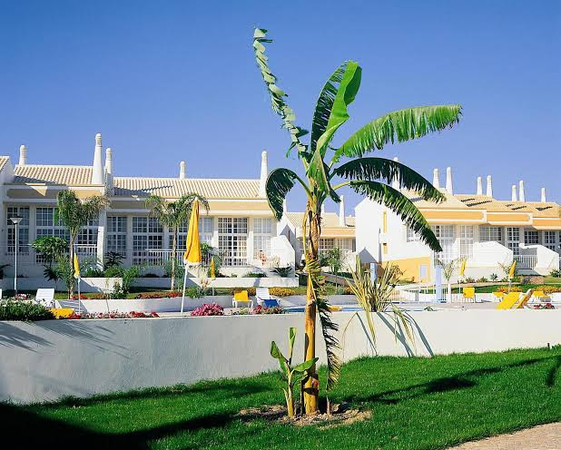 Sesmarias, São Rafael, 8200-385 Albufeira