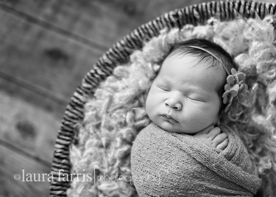 newborn photography idaho