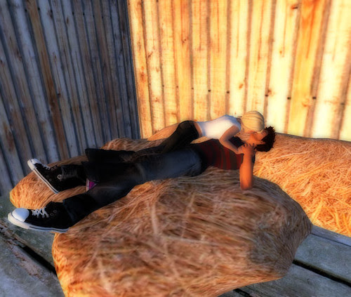 Roll in the hay