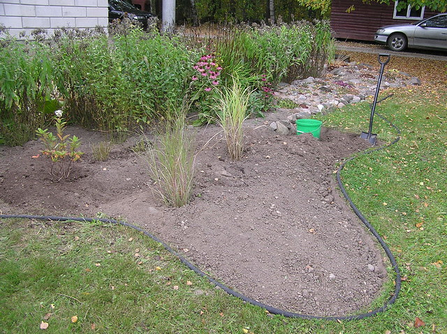New bed for grasses
