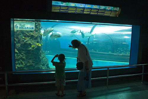 Phuket Aquarium