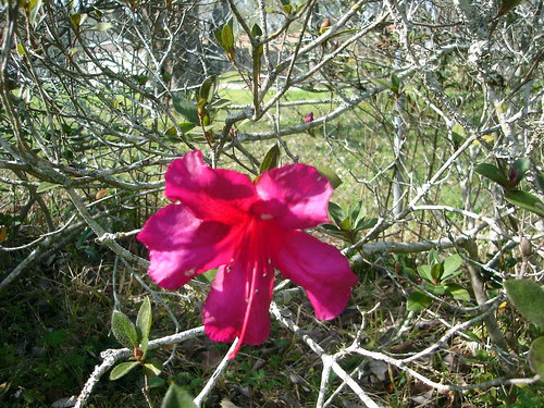 DSC05466