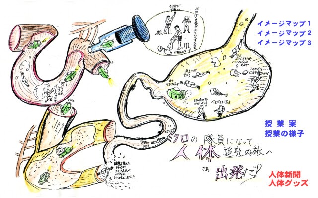 無料ダウンロード 体のつくりとはたらき 6年 Fuutou Sozai
