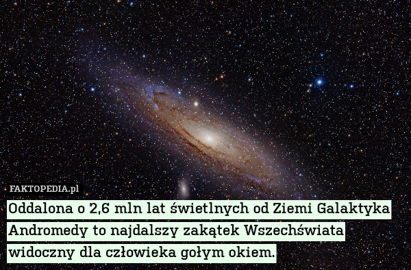 Oddalona o 2,6 mln lat świetlnych – Oddalona o 2,6 mln lat świetlnych od Ziemi Galaktyka Andromedy to najdalszy zakątek Wszechświata widoczny dla człowieka gołym okiem. 