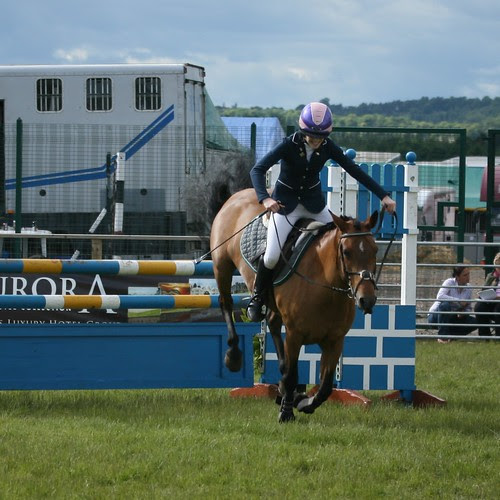 Showjumping