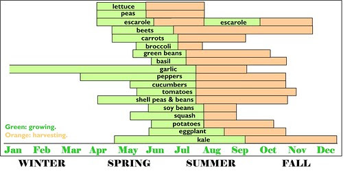 Garden timeline