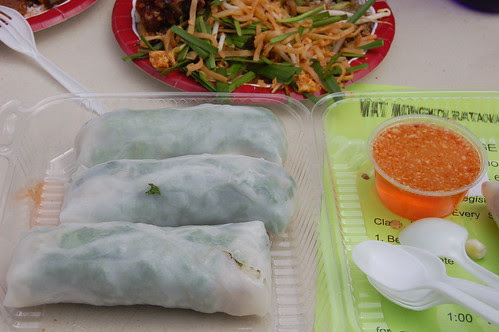 Fresh Vegetable Spring Rolls