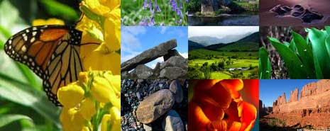 Windows 7 Wallpaper