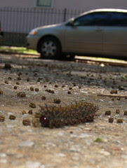 P4115440.JPG
