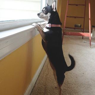 Living Room Chloe window