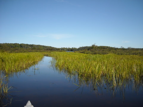 DSCN0831.JPG