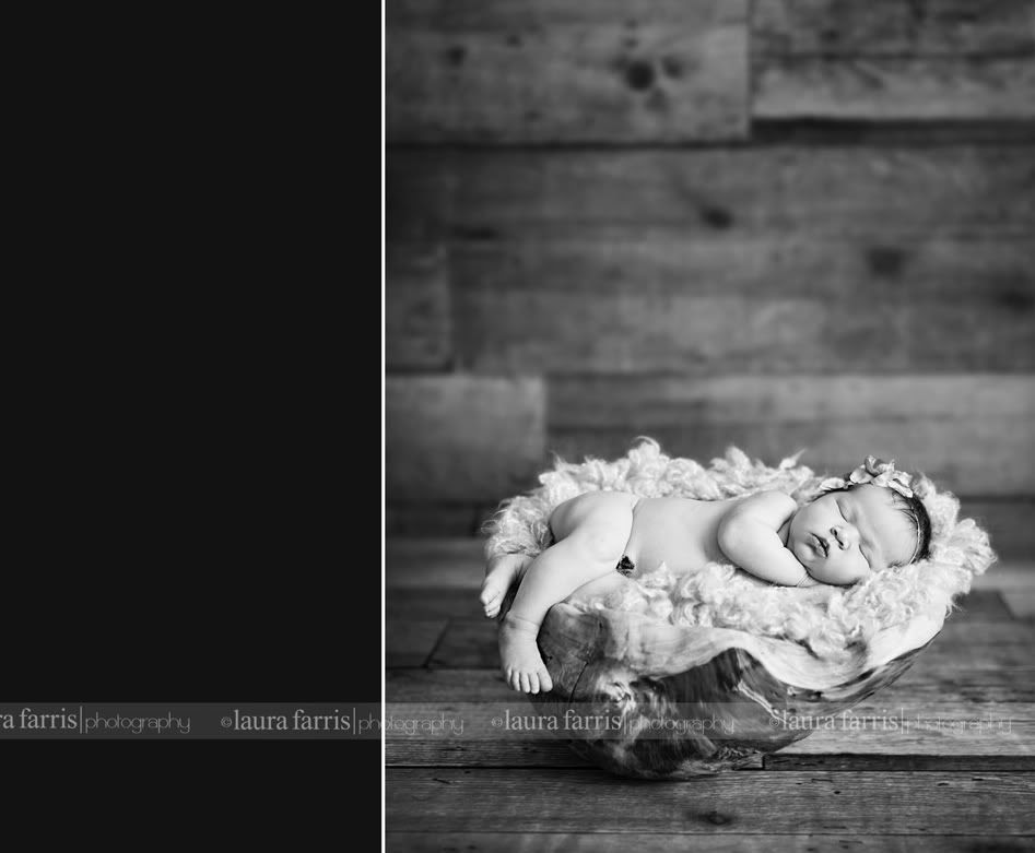 newborn photography idaho