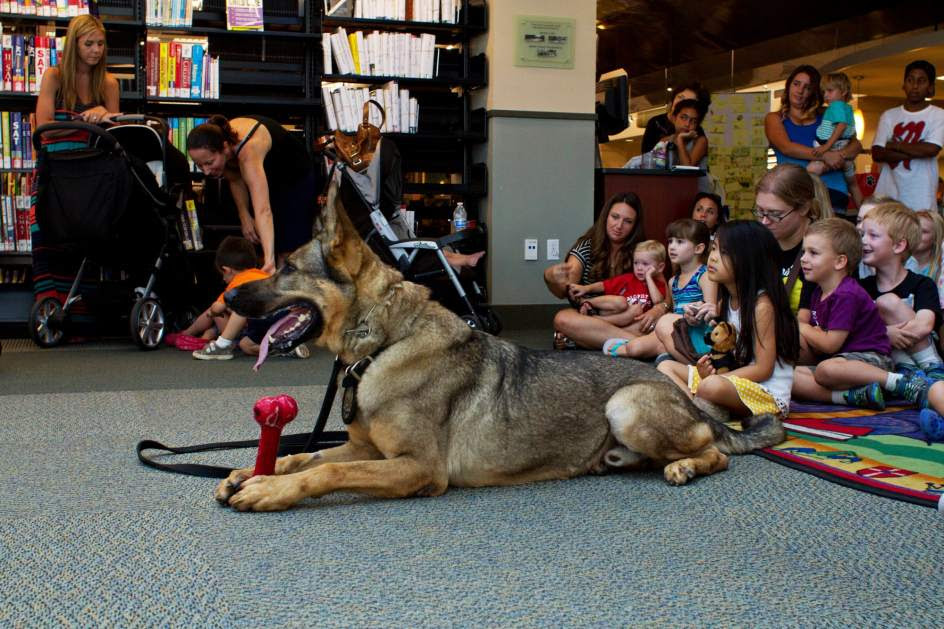 La lectura y los animales, buenos aliados para el verano