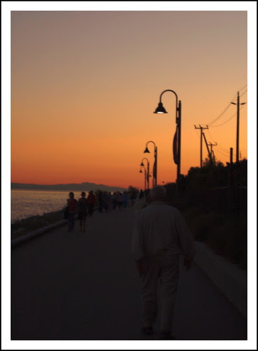Shadows of the Evening