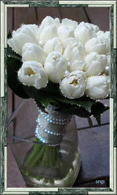 Белые тюльпаны в вазе.