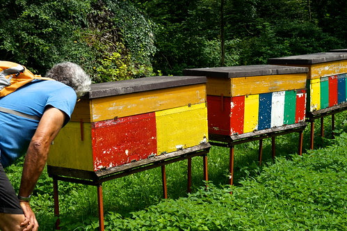 DSC03356 - Version 2