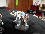 FOR SALE: Grey Knight Army! FOR SALE: Grey Knight Army! grey knights